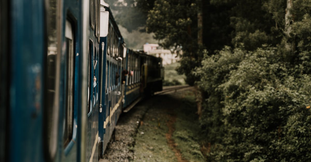 enjoy a glamorous train escape and experience the epitome of luxury travel with breathtaking views and first-class service.